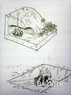 蛇洞式