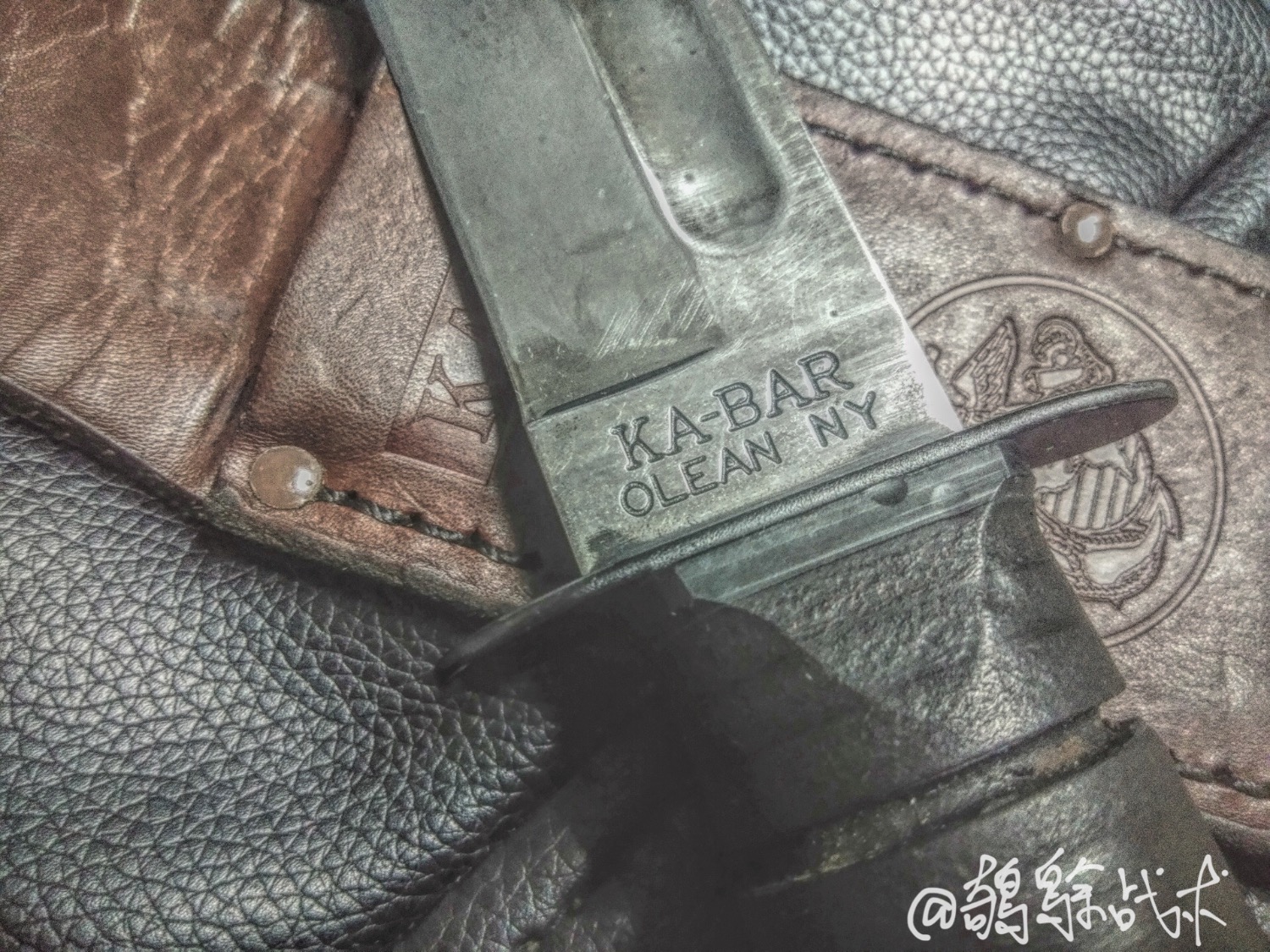 F8072892-2A8D-42C2-B7DB-E2C8427A2B57.jpeg