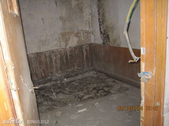 26fcf2198618367a1672d5d32d738bd4b21ce577.jpg