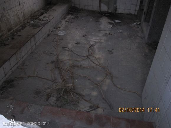 fdcefc246b600c33de7fa5c7194c510fd8f9a1ec.jpg