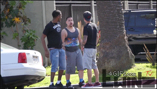0073tLPGgy1fyr129hlagg308y052x6q.gif