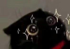 1584108065712.jpeg