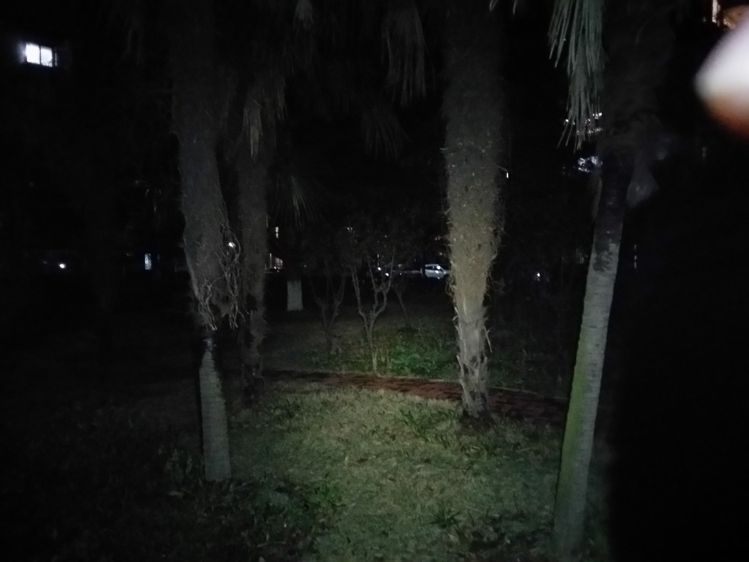 20200328_211213_LLS.jpg
