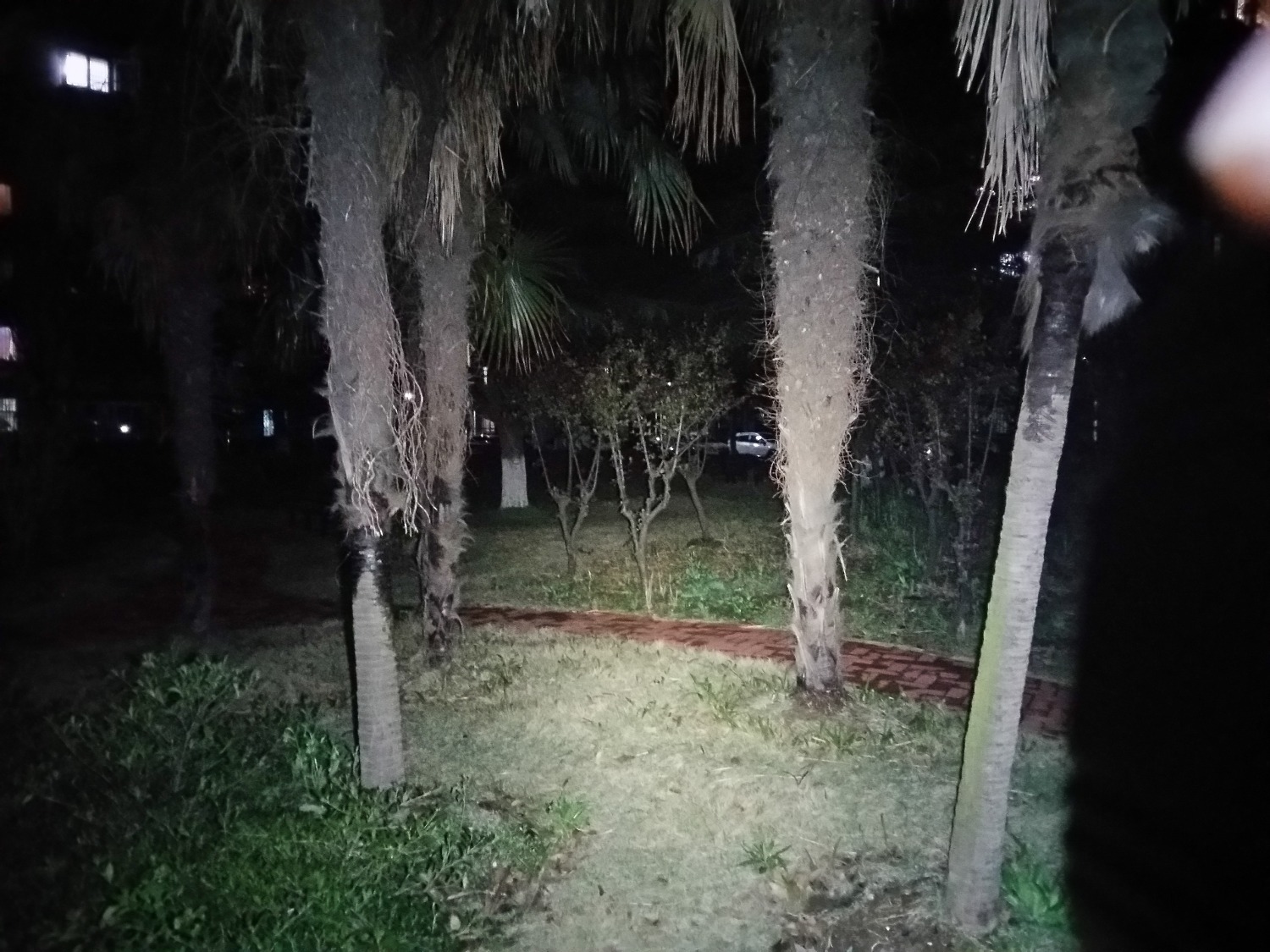 20200328_211220_LLS.jpg