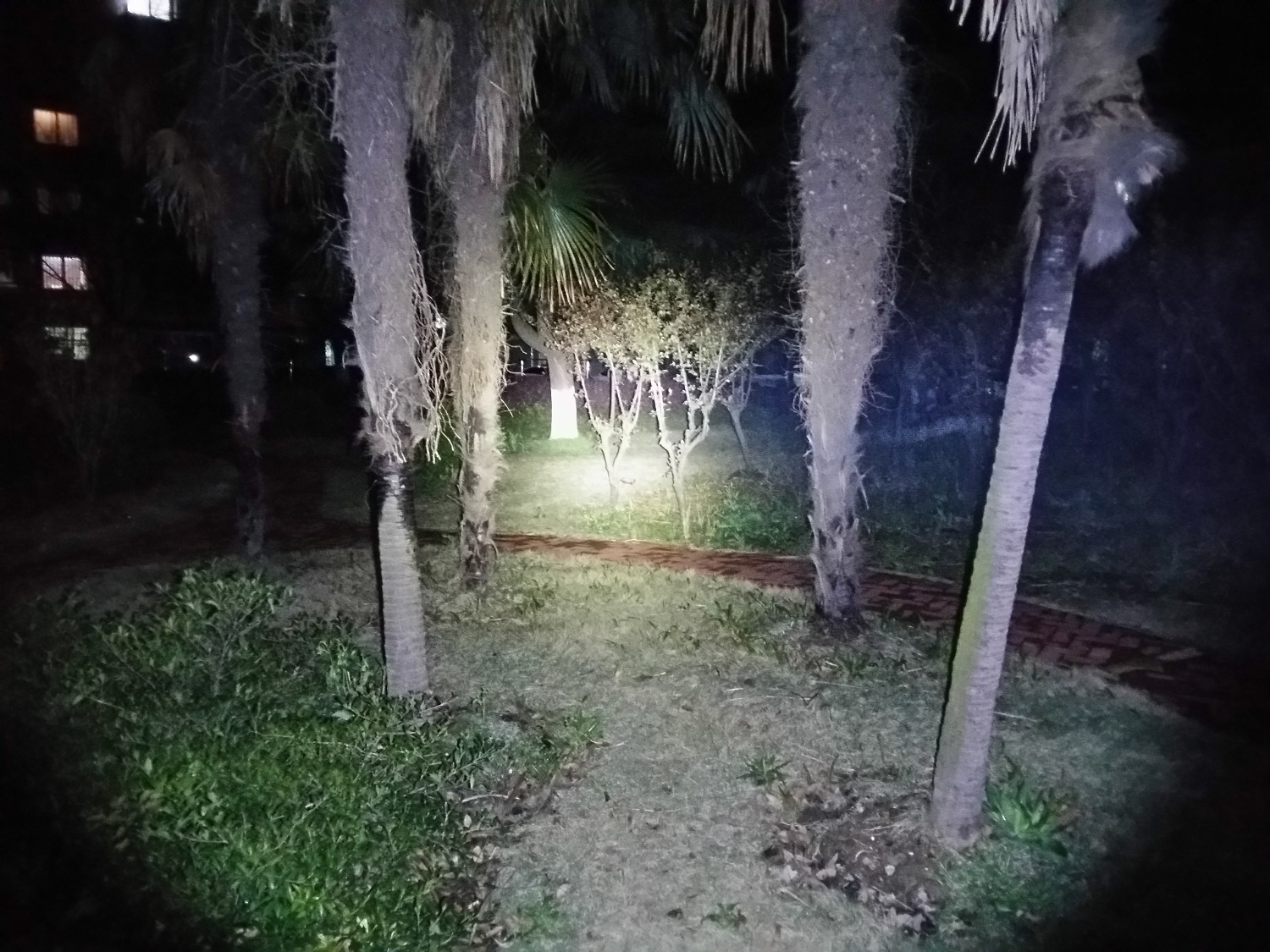 20200328_211256_LLS.jpg