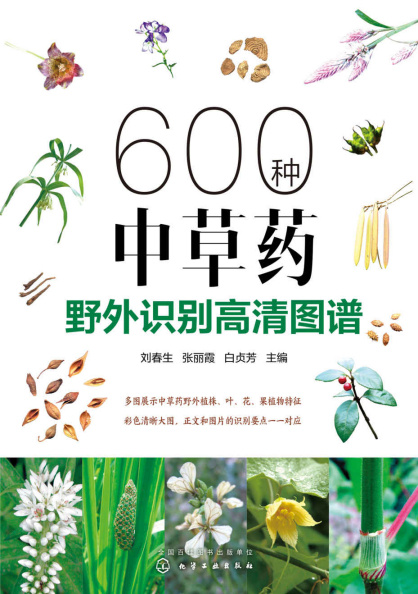 6000.jpg
