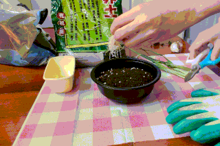 mmexport1587176866714.gif