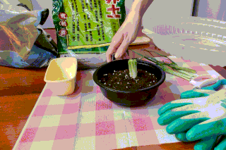 mmexport1587176868054.gif