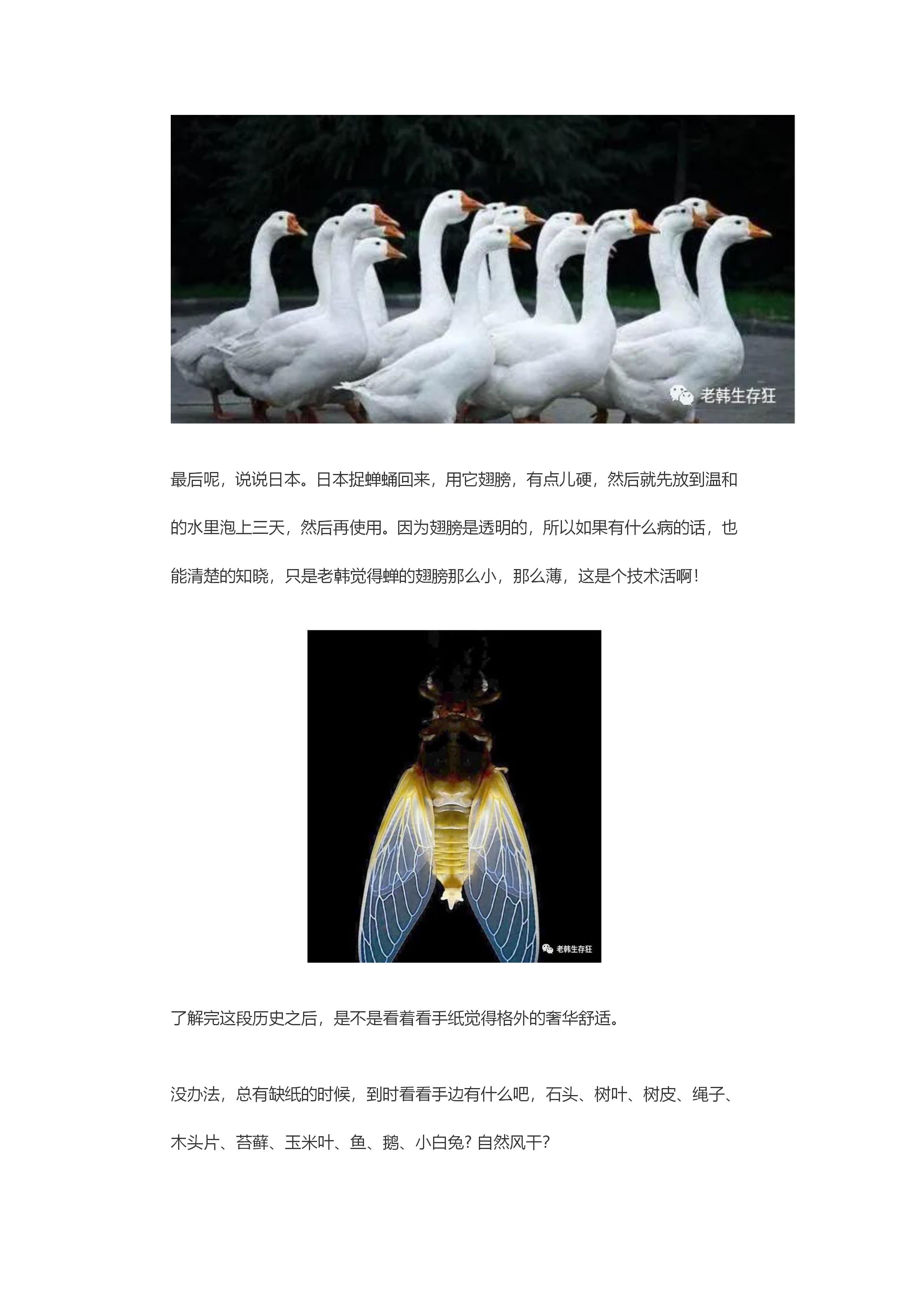 新建 DOC 文档_25.jpg
