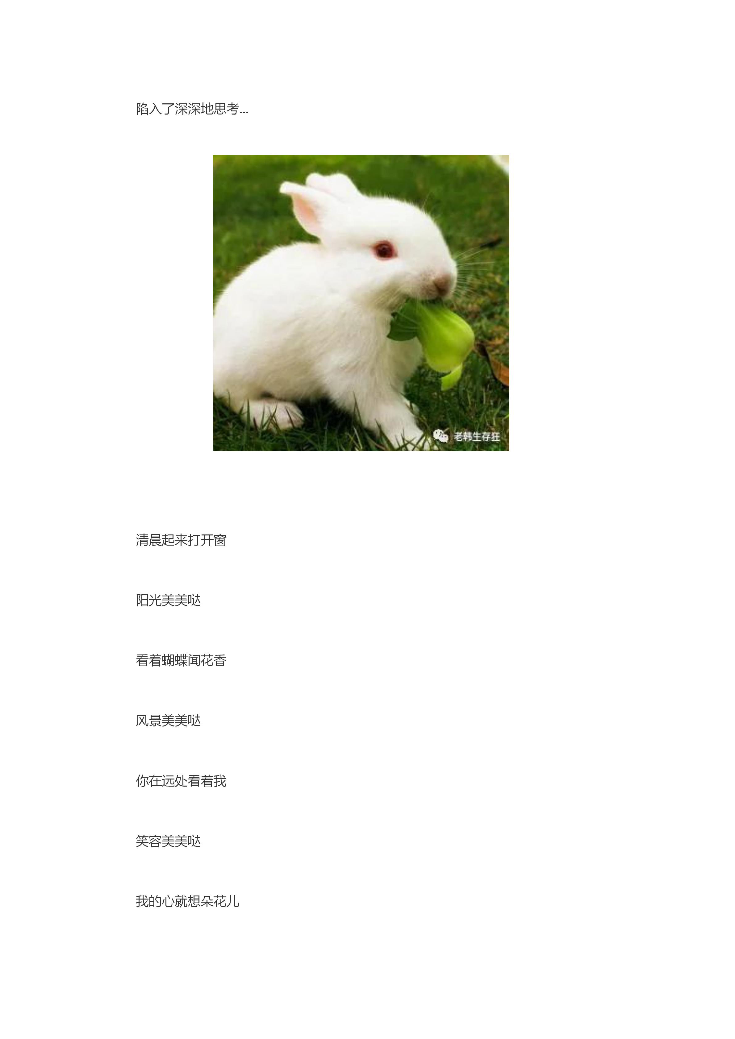 新建 DOC 文档_26.jpg