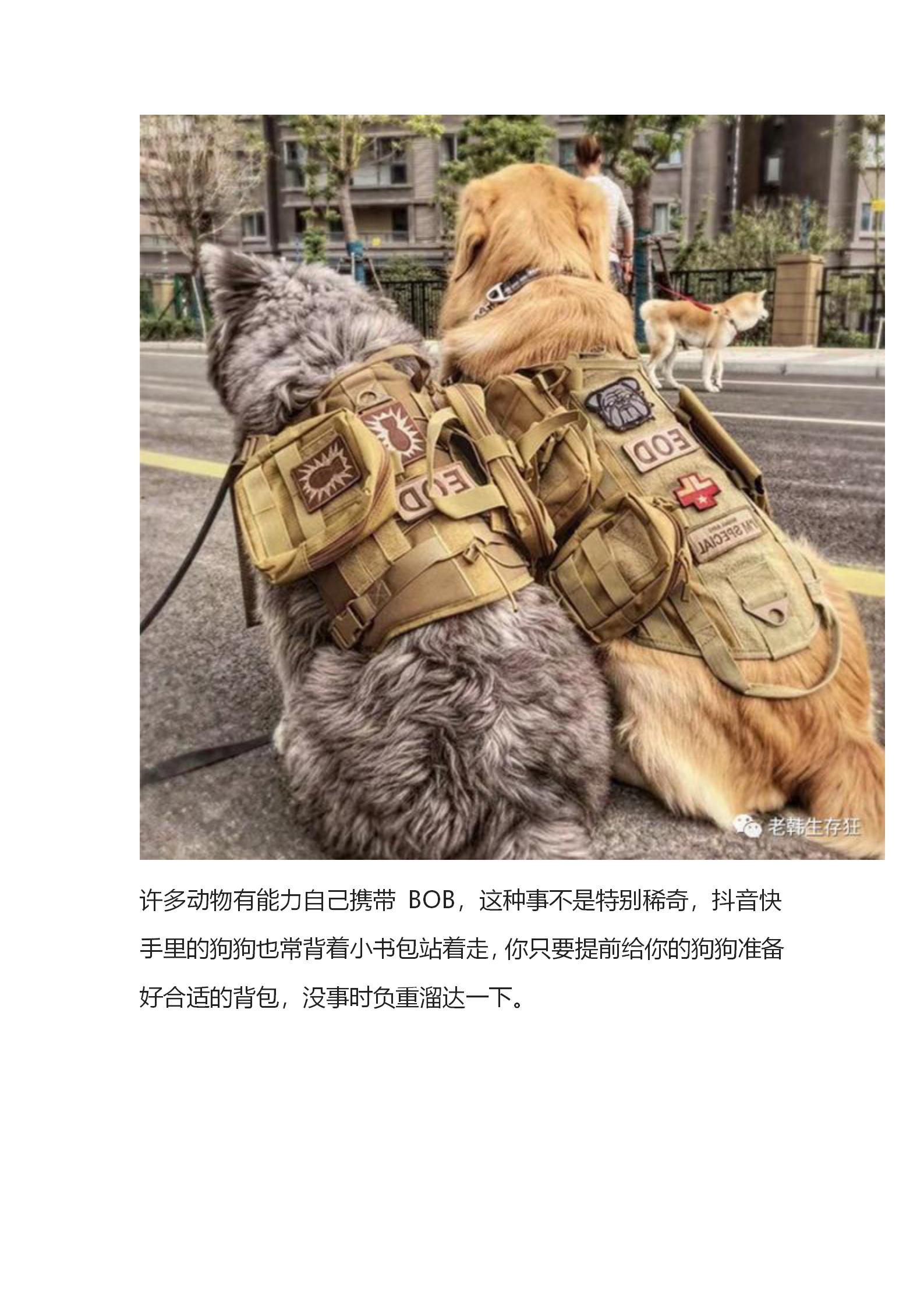 揭秘！生存狂应急避难求生跑路包里放了啥？公众号_96.jpg