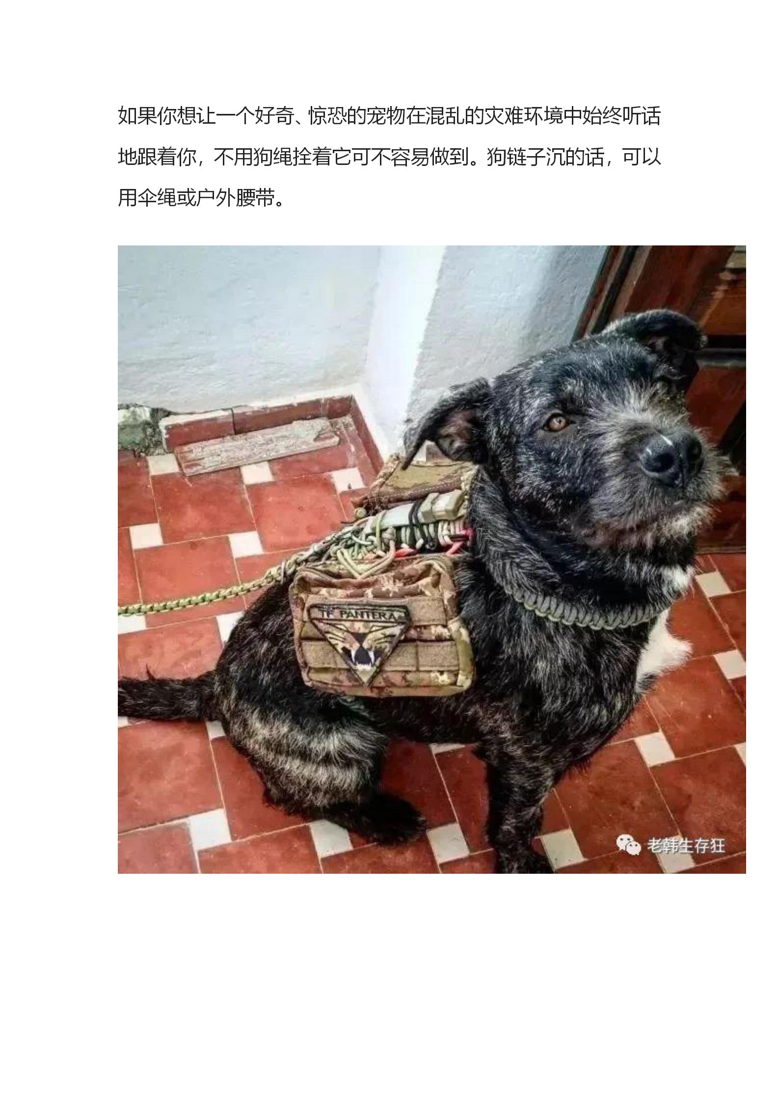 揭秘！生存狂应急避难求生跑路包里放了啥？公众号_93.jpg