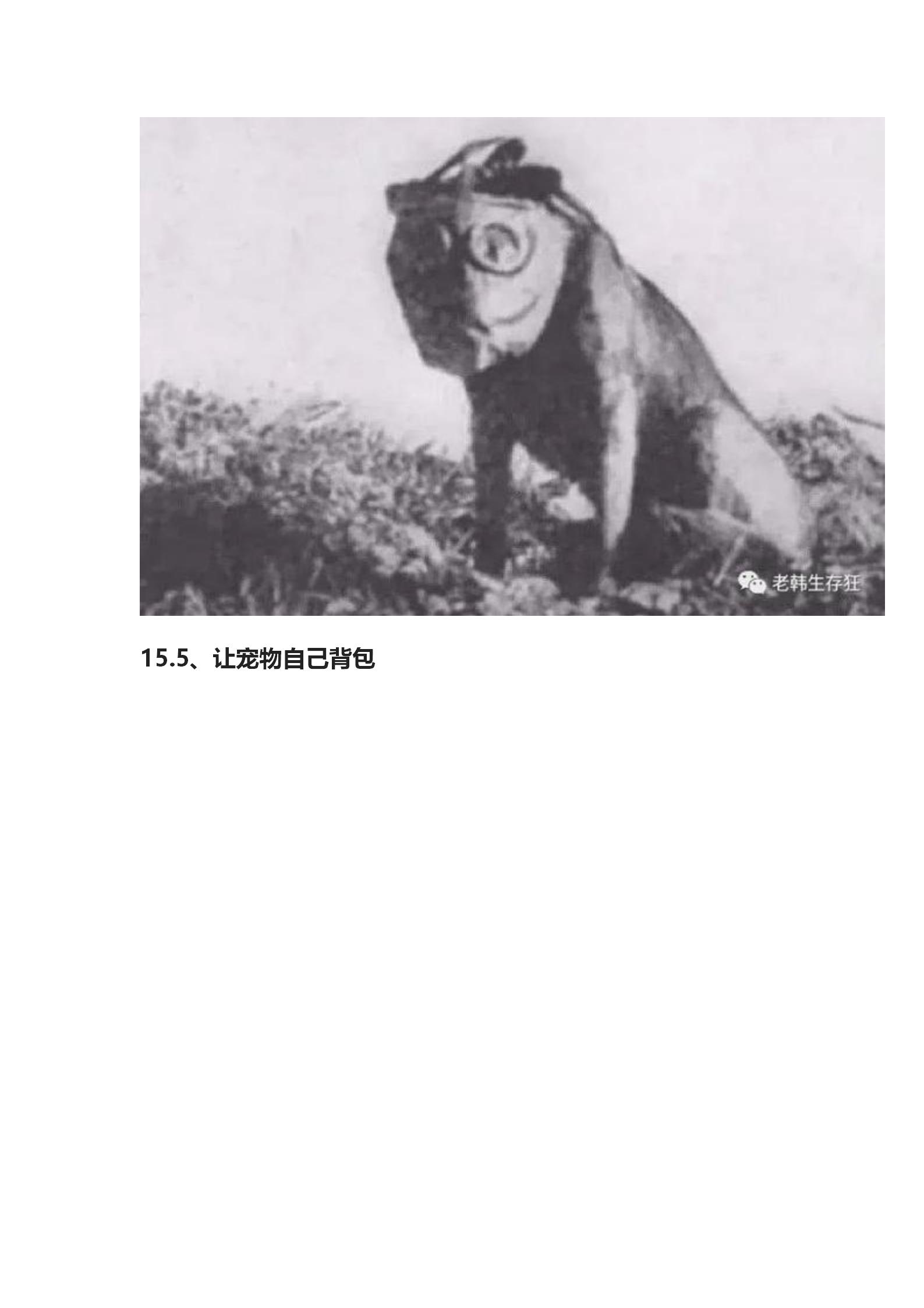 揭秘！生存狂应急避难求生跑路包里放了啥？公众号_95.jpg