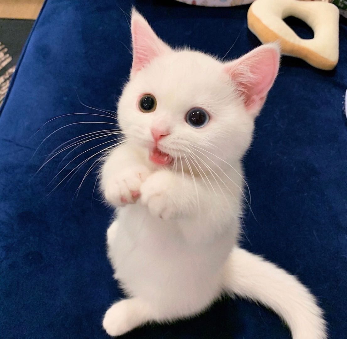 prepper - 生存文化 - psk中国生存狂 - powered by discuz!