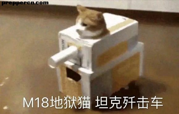 -1e995f2dd7df38c5.jpg