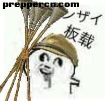 -449c3ad69bd9a06a.jpg