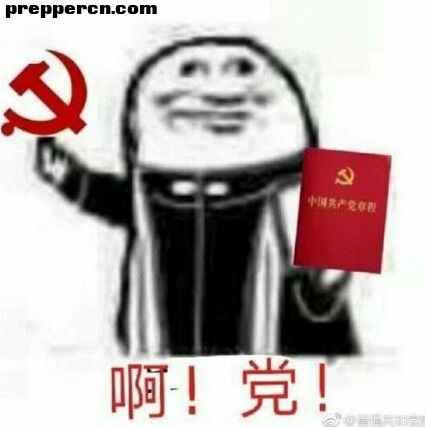 -2ff8d25de97034bd.jpg