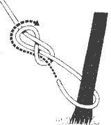 平6.gif