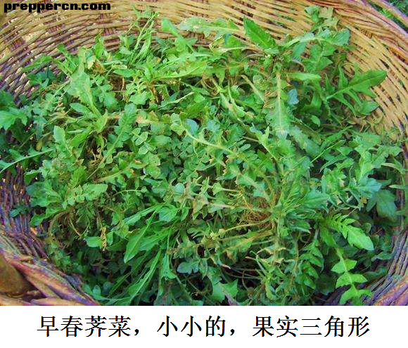 微信图片_20201026091856.png