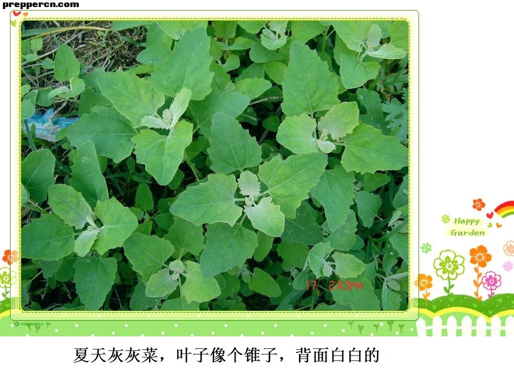 微信图片_20201026091900.jpg
