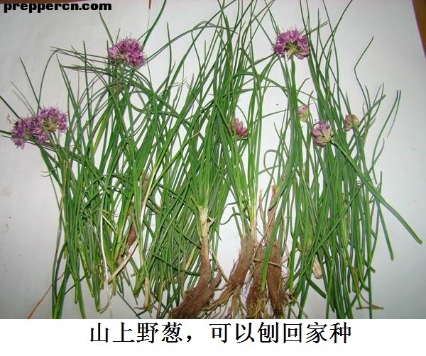 微信图片_20201026091909.jpg