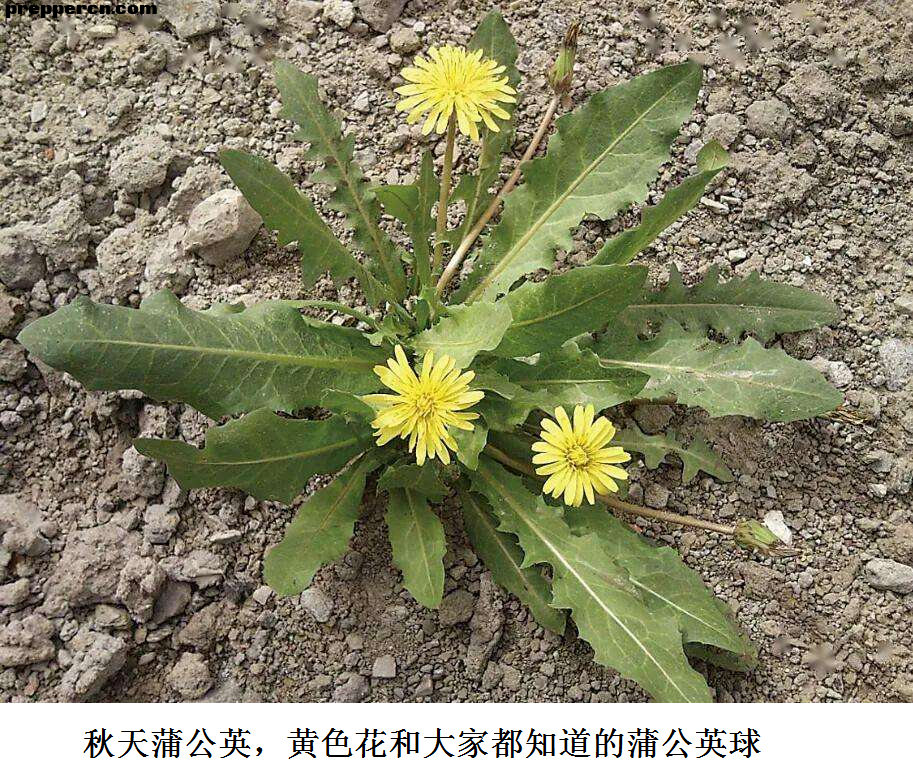 微信图片_20201026091904.png