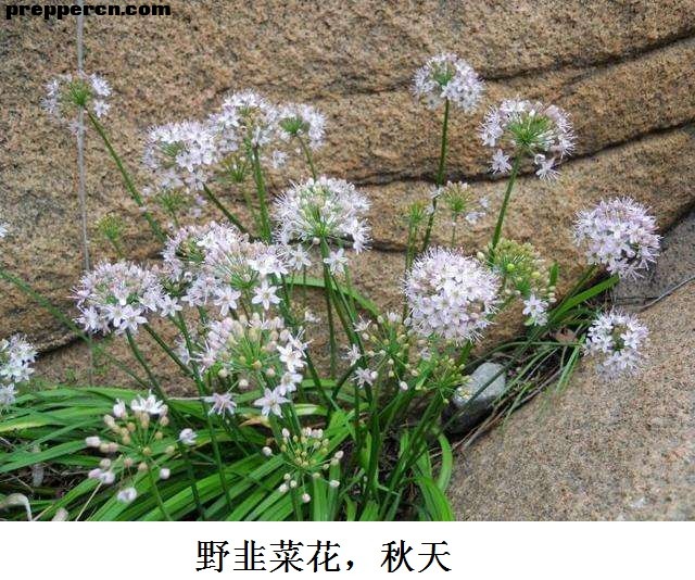 微信图片_20201026091912.jpg