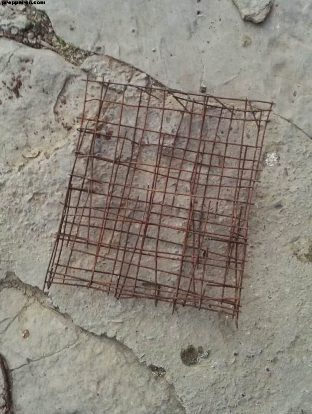 微信图片_20201027125018.jpg