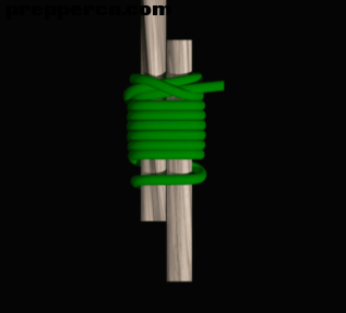 55.PNG