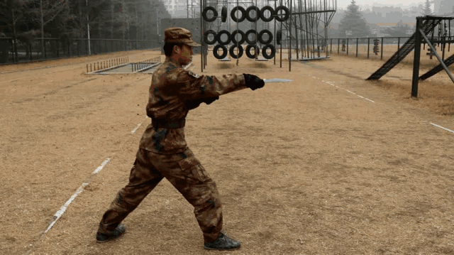 00ffabb9af653bd249a02e.gif