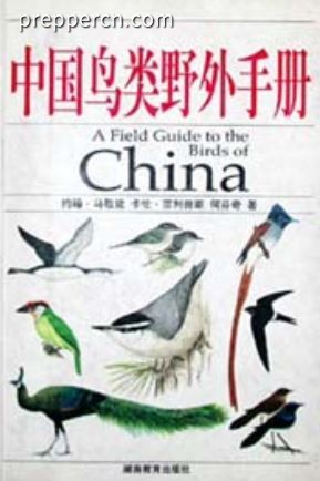 cnbird.JPG