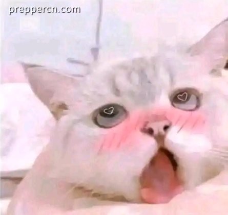 emotion_download_1647326002245.jpeg