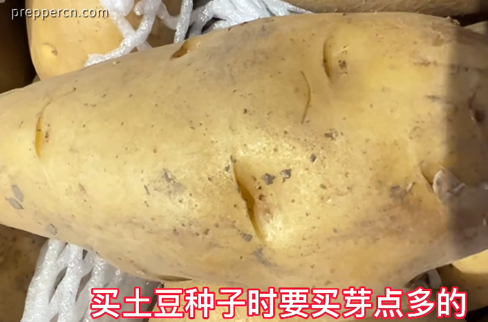 QQ图片20221108150807.png