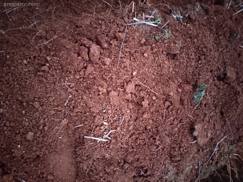 IMG_20230216_182959.jpg