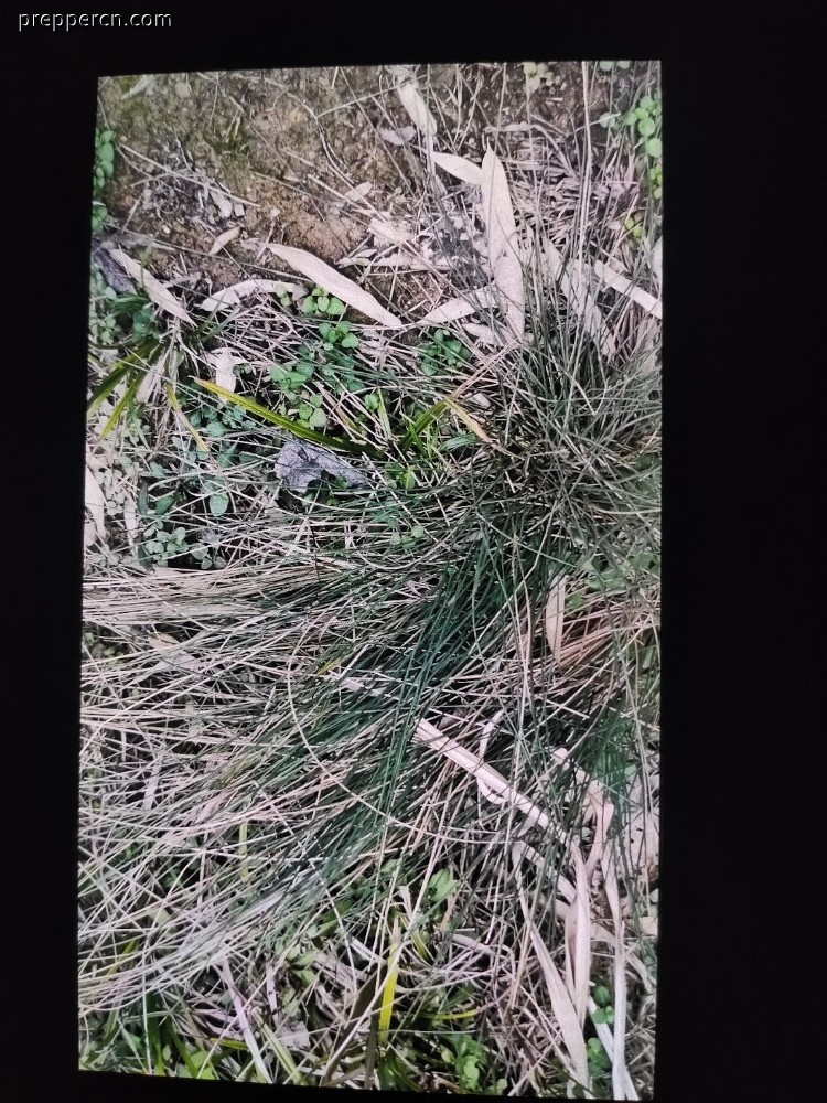 1676845097026.jpg