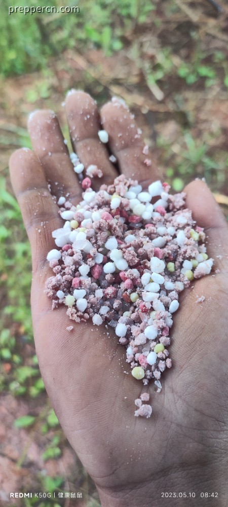 IMG_20230510_084223.jpg