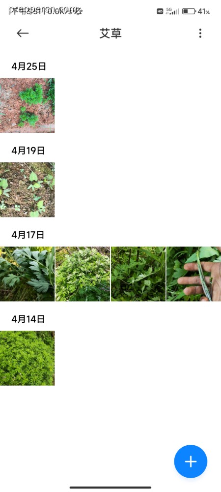 Screenshot_2023-05-15-15-51-06-532_com.miui.gallery.jpg