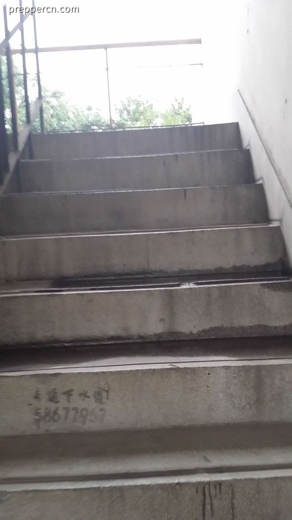 b1d2942f0708283867281626bb99a9014c08f10d.jpg
