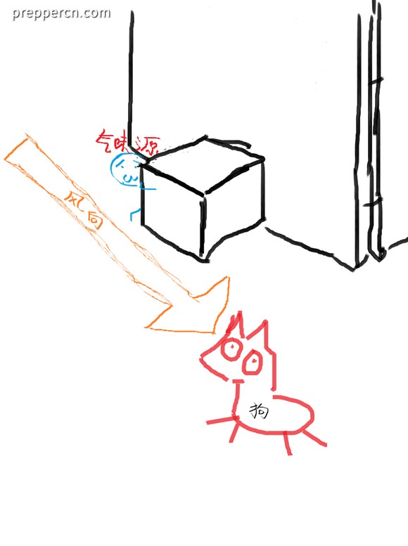 706071899e510fb3329d45a3da33c895d0430cae.jpg