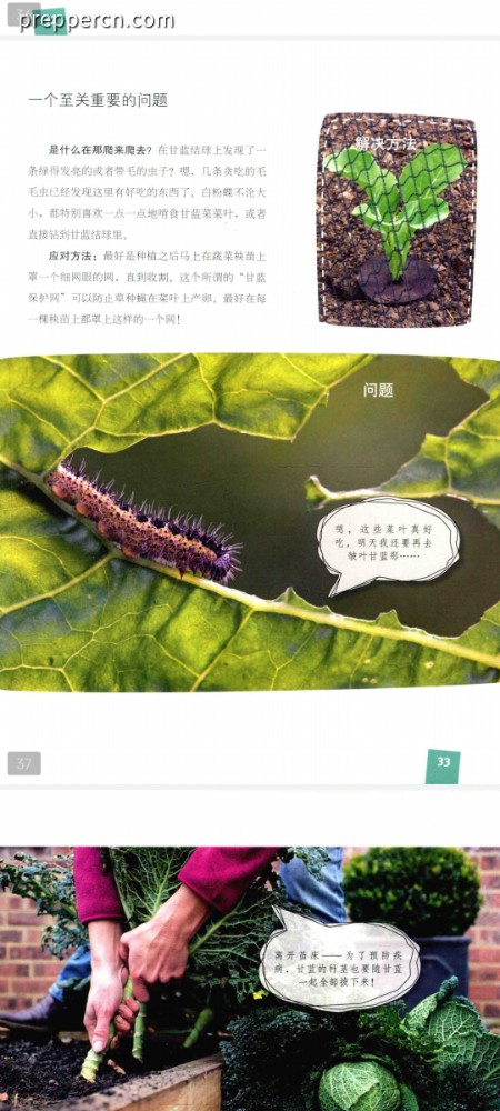 1000177874.jpg