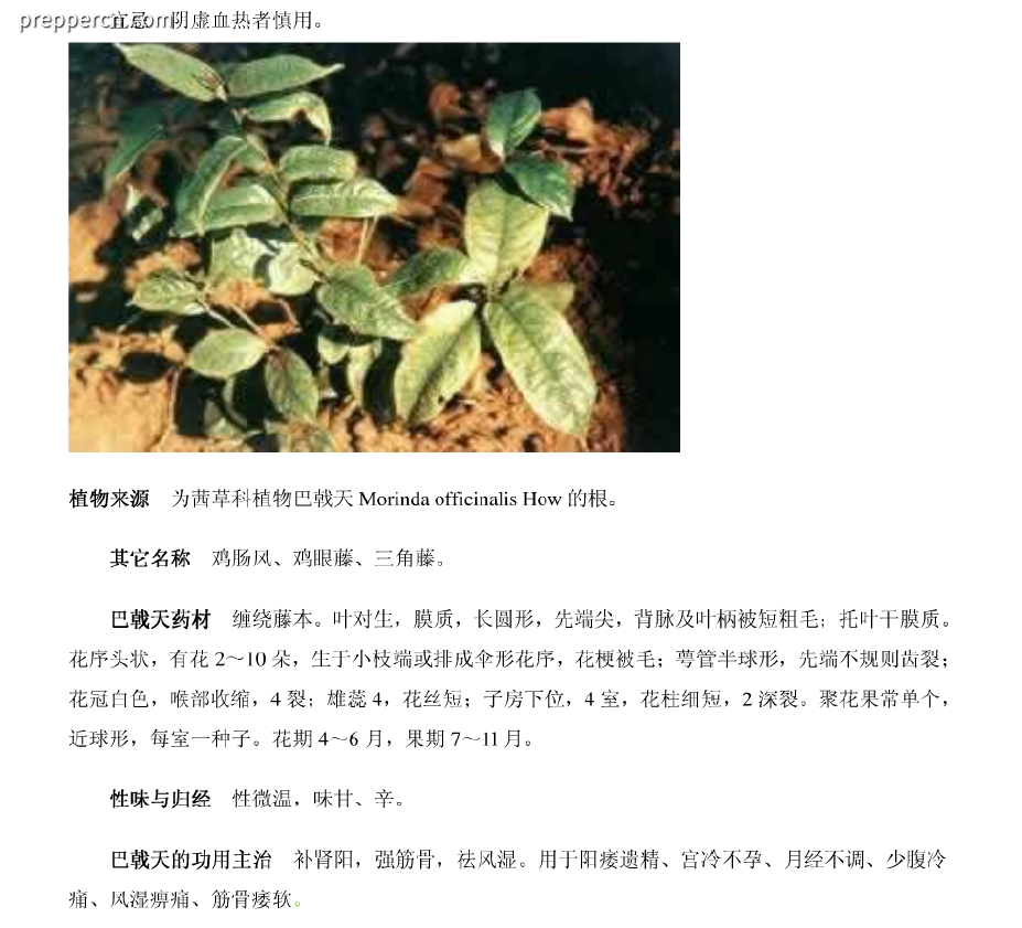 Screenshot 2024-05-03 121438.png
