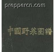 下载.jpg
